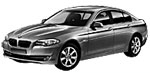 BMW F10 C12DE Fault Code